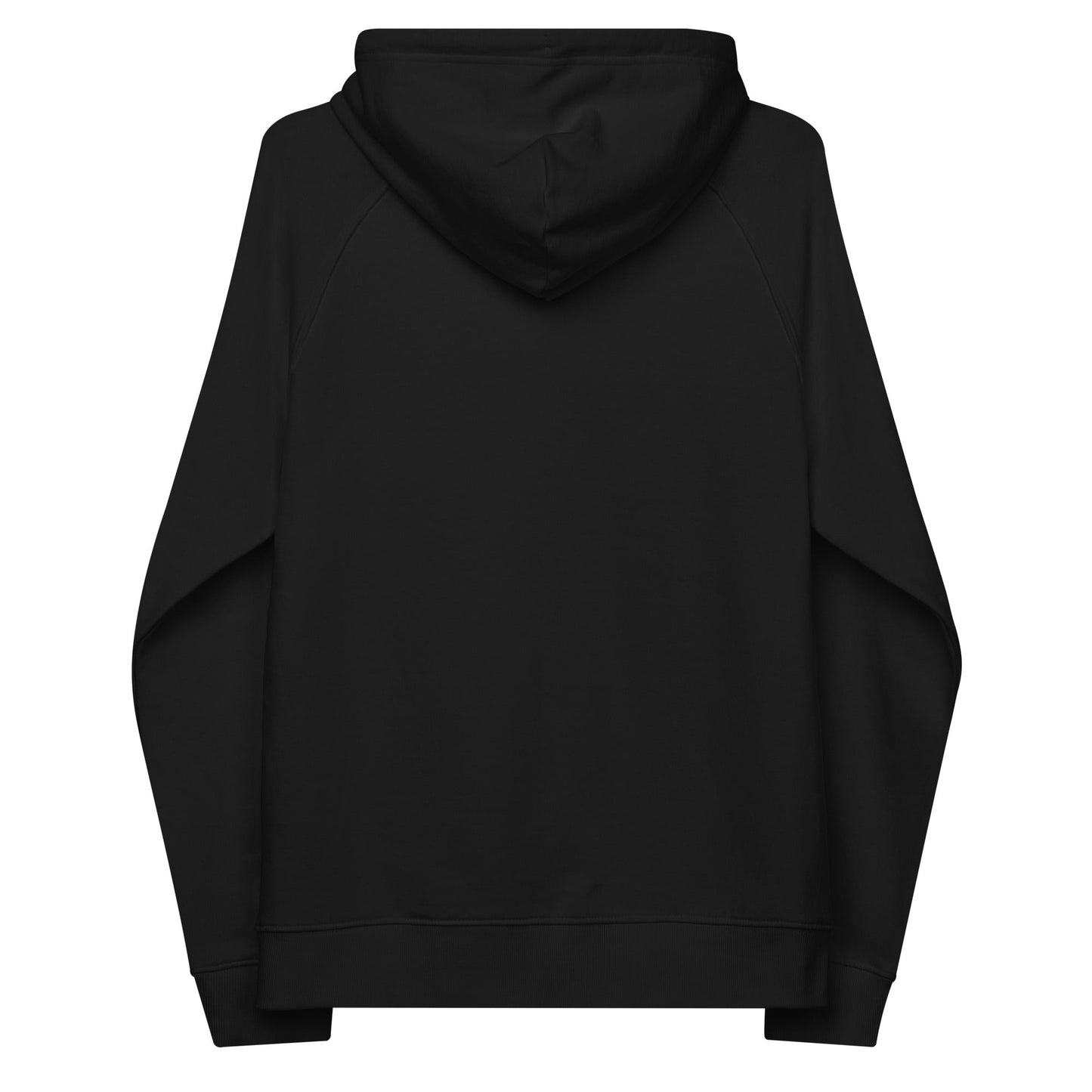 unlearn-relearn-hoodie-e9 unisex-eco-raglan-hoodie-black-back-647547b169f25.jpg