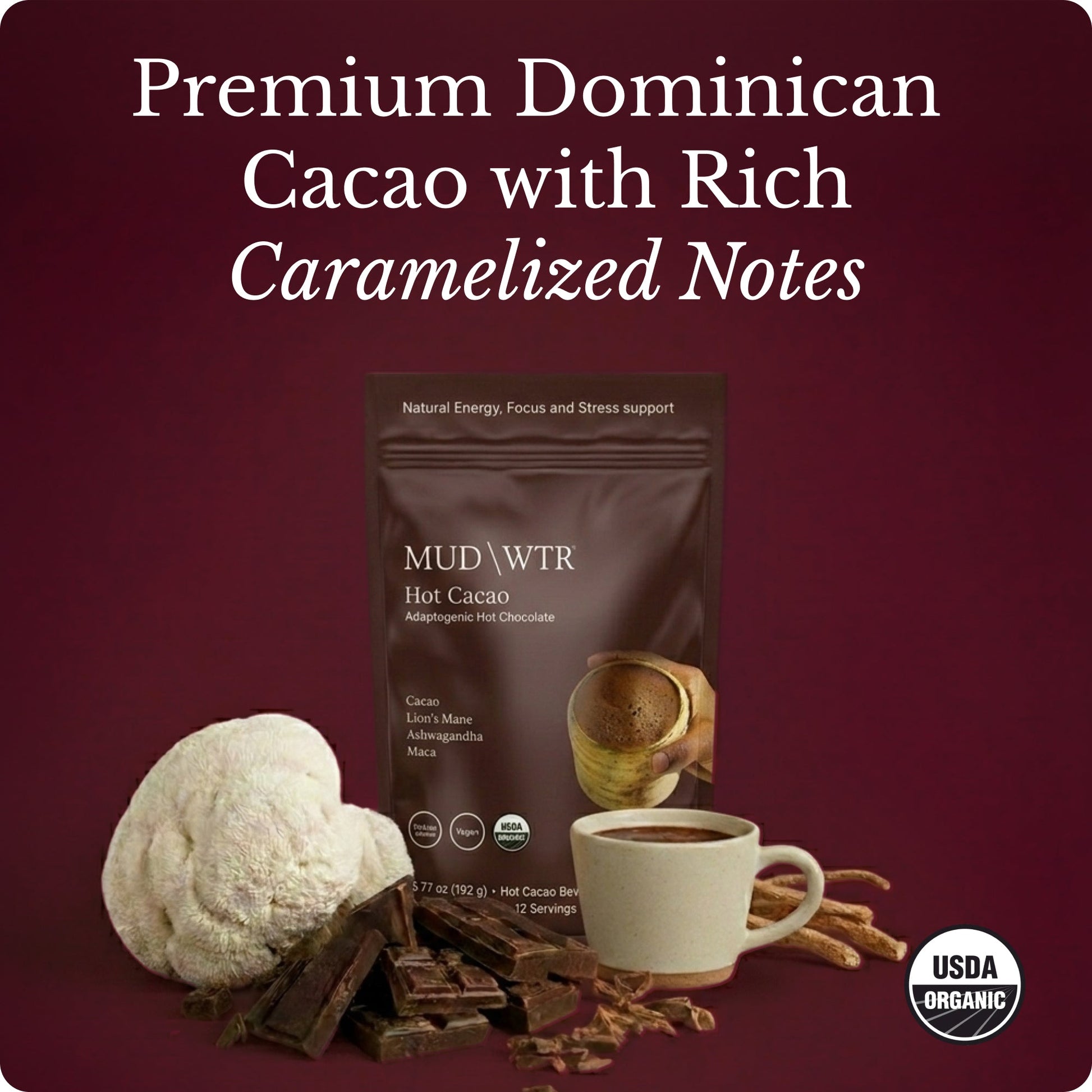 hot-chocolate-m2 Hot_Chocolate_Image_01.jpg