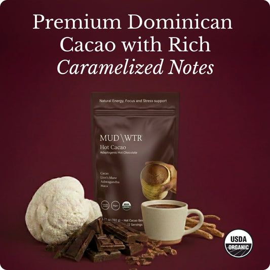 hot-chocolate-m2 Hot_Chocolate_Image_01.jpg