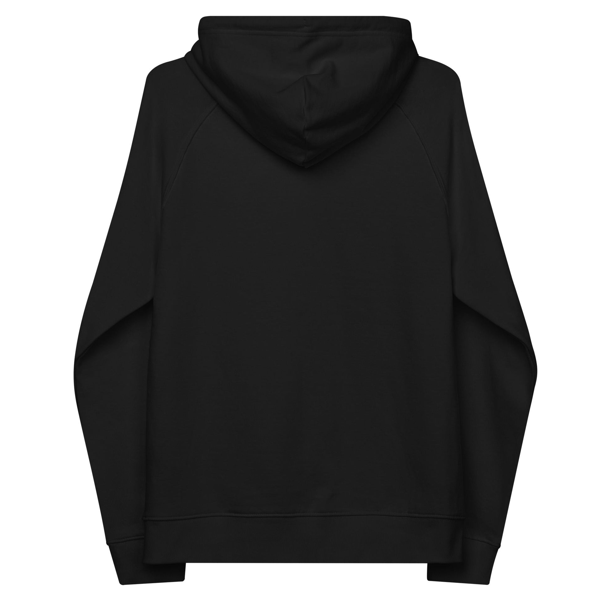 unlearn-relearn-hoodie-e9 unisex-eco-raglan-hoodie-black-back-647547b169f25.jpg